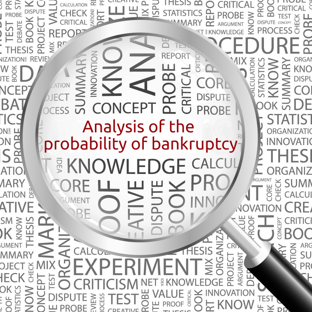 Analysis of the probability of bankruptcy