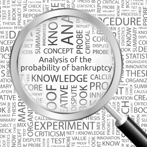 Analysis of the probability of bankruptcy