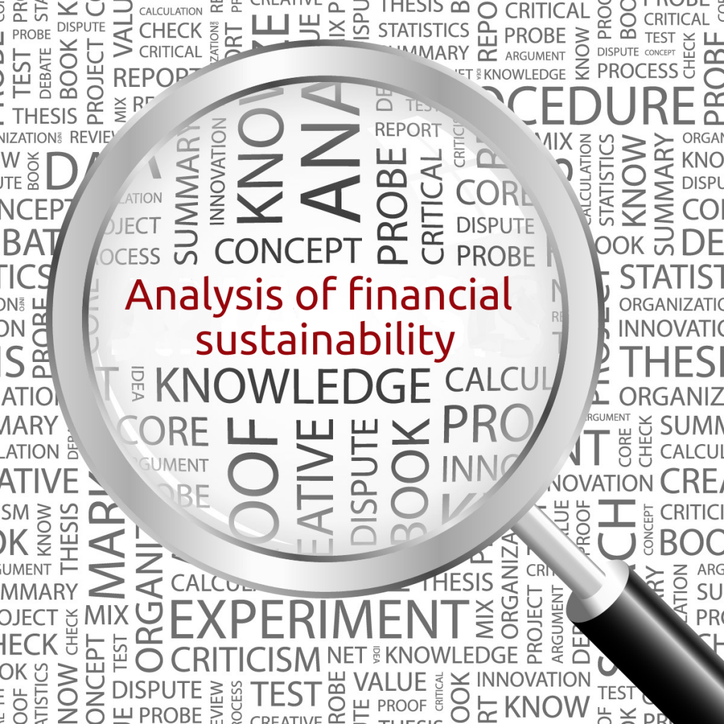 Analysis of financial sustainability